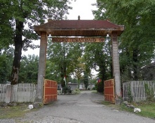 vieяd01